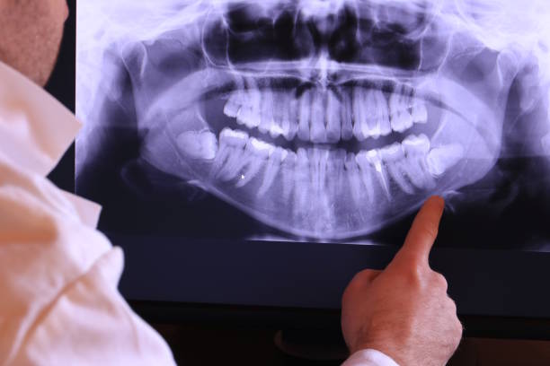 Best Emergency X-Rays and Diagnostics in Ashville, AL
